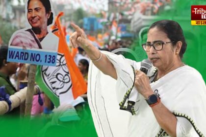 Mamata Banerjee News