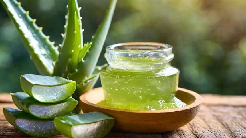 Skin Care With Aloe Vera