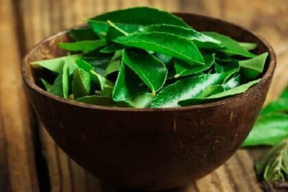 Curry Leaves For Cholesterol