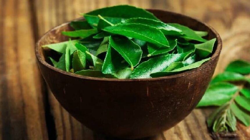 Curry Leaves For Cholesterol