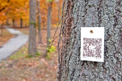 Tree QR Code