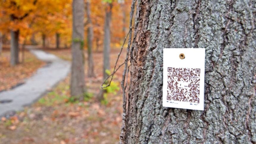 Tree QR Code