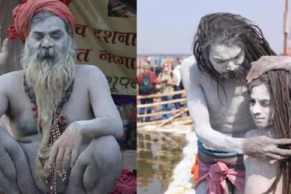 Maha Kumbh 2025