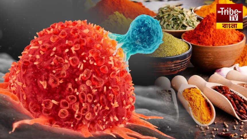 Spices Reduces Cancer Risk