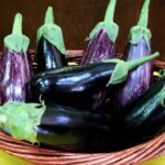 Brinjal Benefits