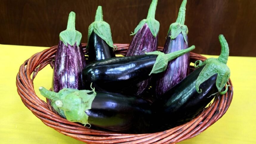 Brinjal Benefits