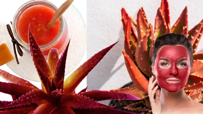 Red Aloe Vera Face Pack