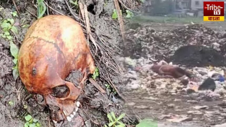 Skull Found In Sodepur