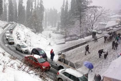 Kashmir Snowfall