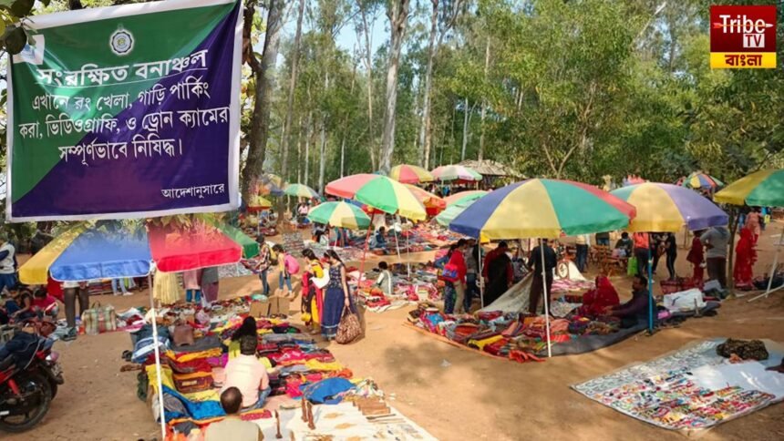 Sonajhuri Forest