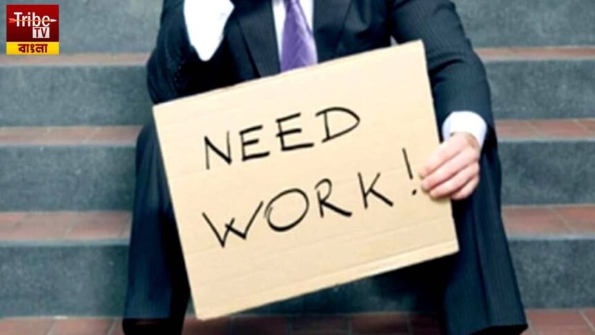 Unemployment Statistics Data