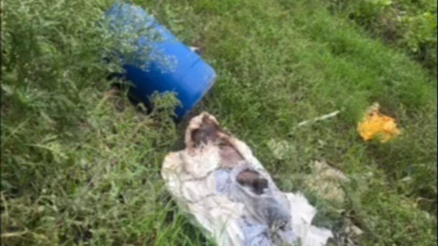 Decomposed Body