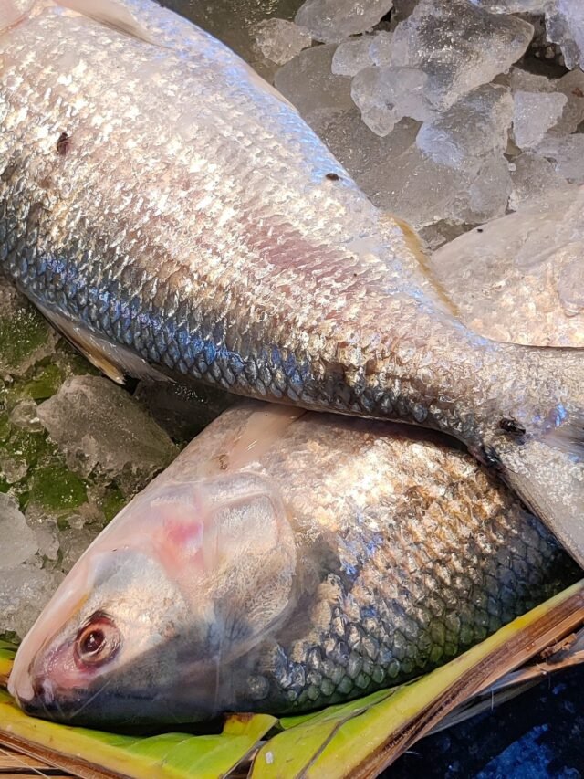 ইলিশ কিনুন খুব সহজে…
